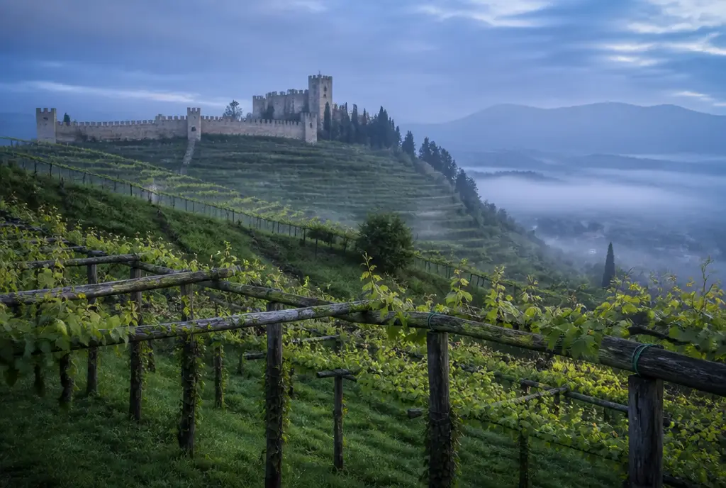 Prosecco Superiore DOCG — Soave & Prosecco