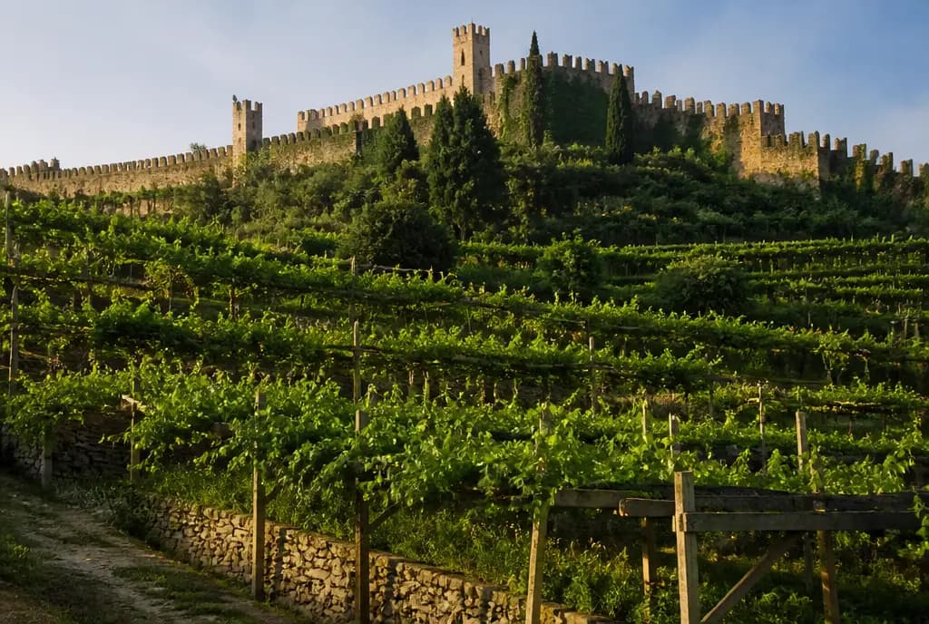 Soave Classico DOC — Soave & Prosecco