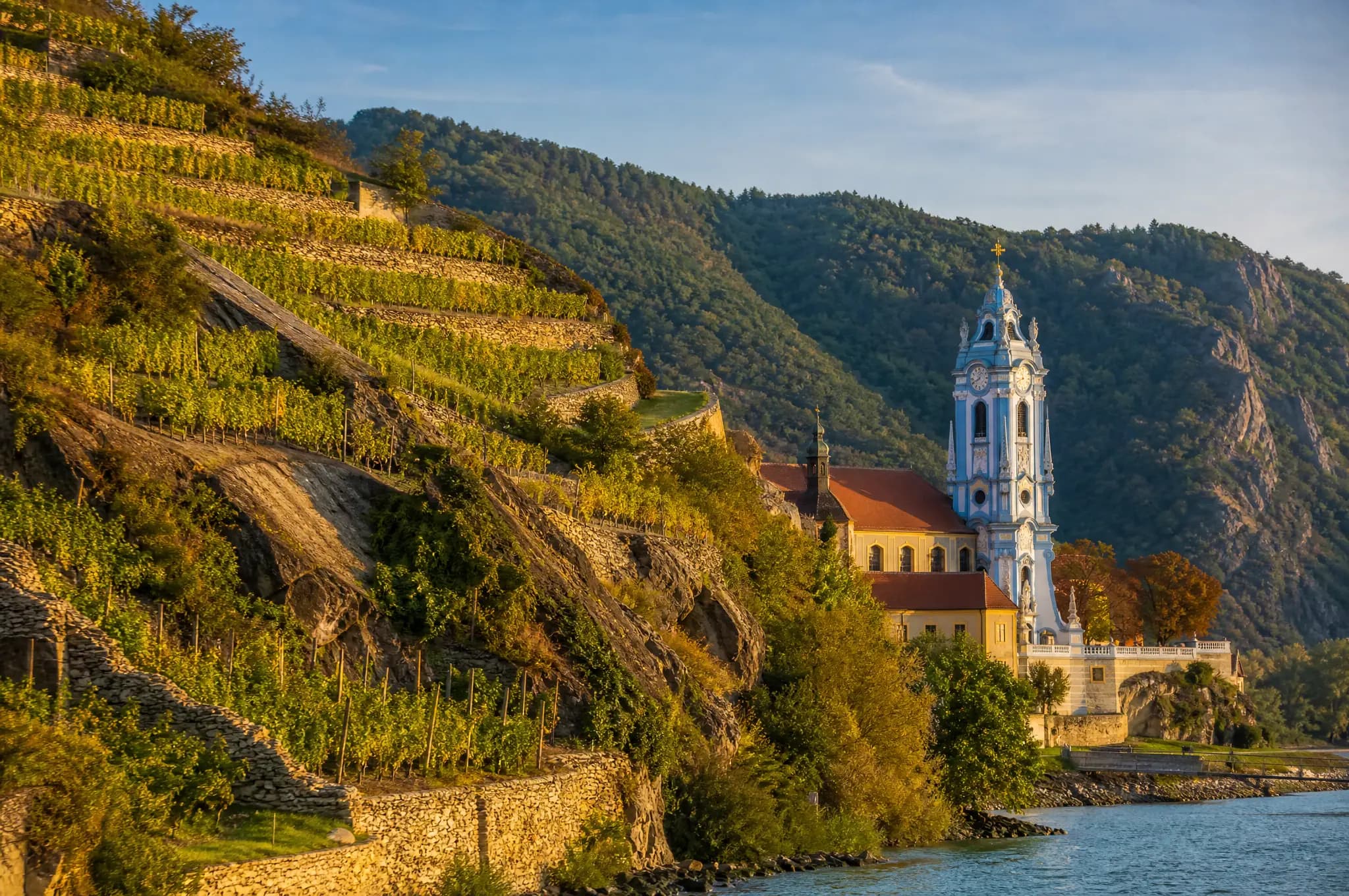Grüner Veltliner Federspiel — Wachau