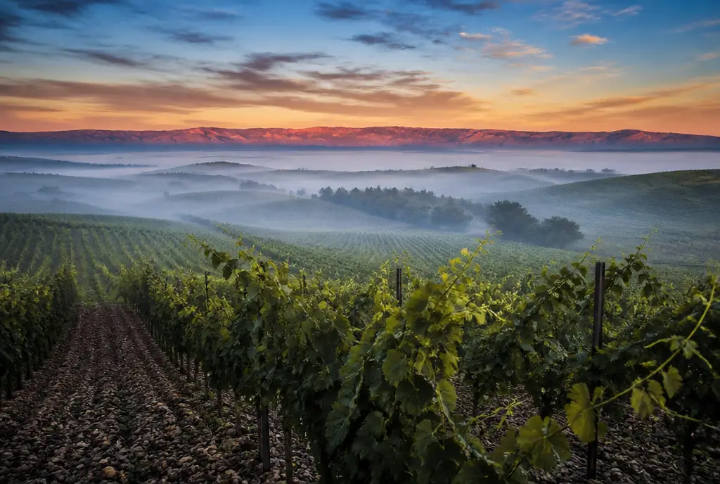 Walla Walla Cabernet Sauvignon — Walla Walla Valley